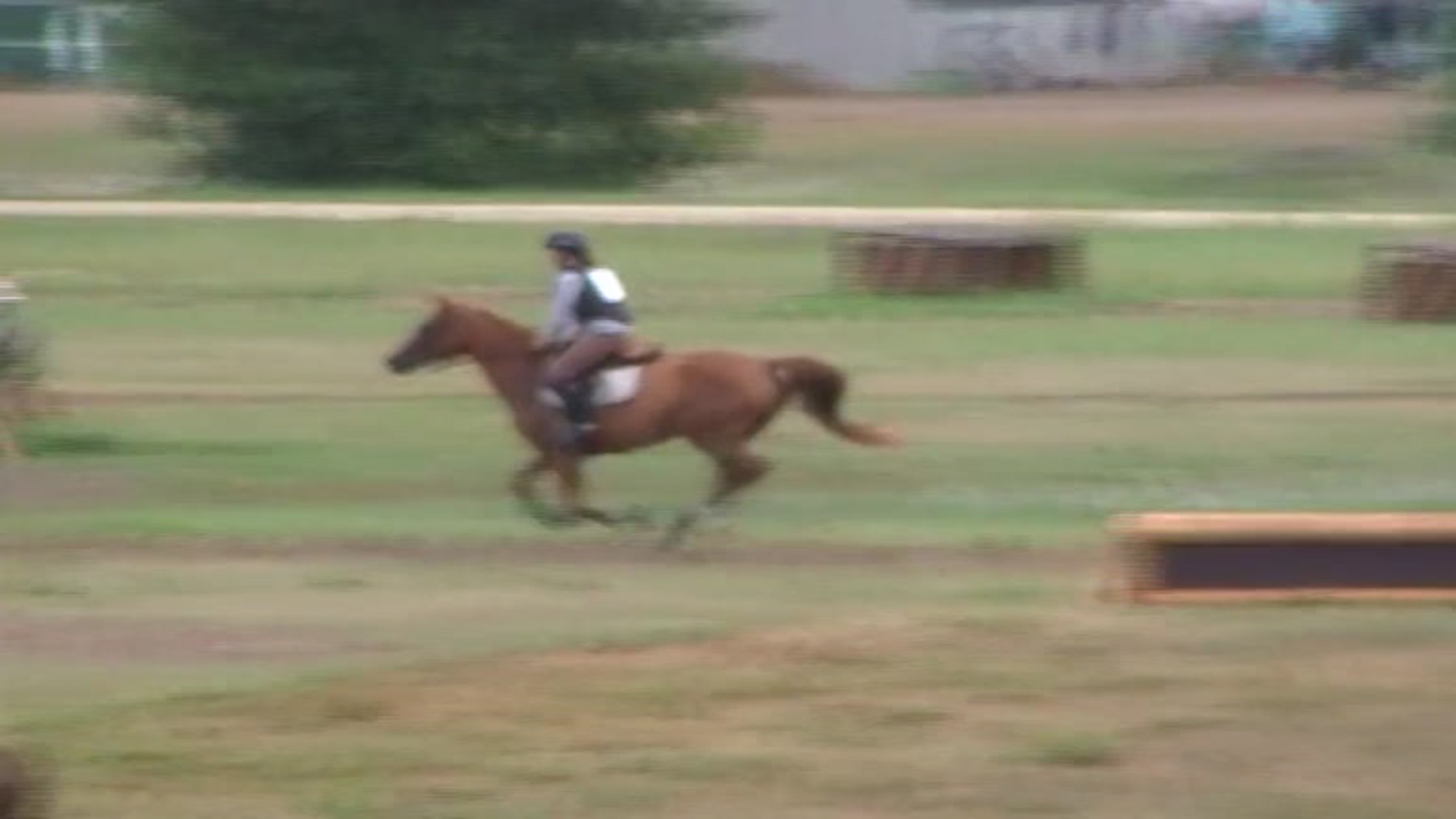 GRANDPRIX TV - JEANNE NOEL